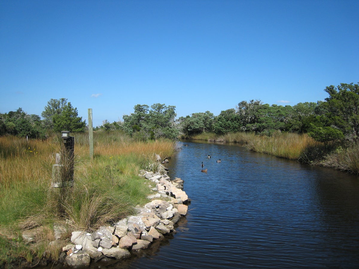 Shallow Water Canal Leading to Pamlico Sound