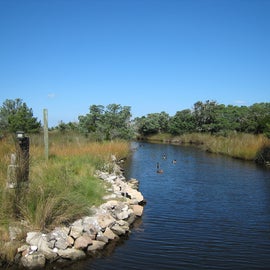 Shallow Water Canal Leading to Pamlico Sound