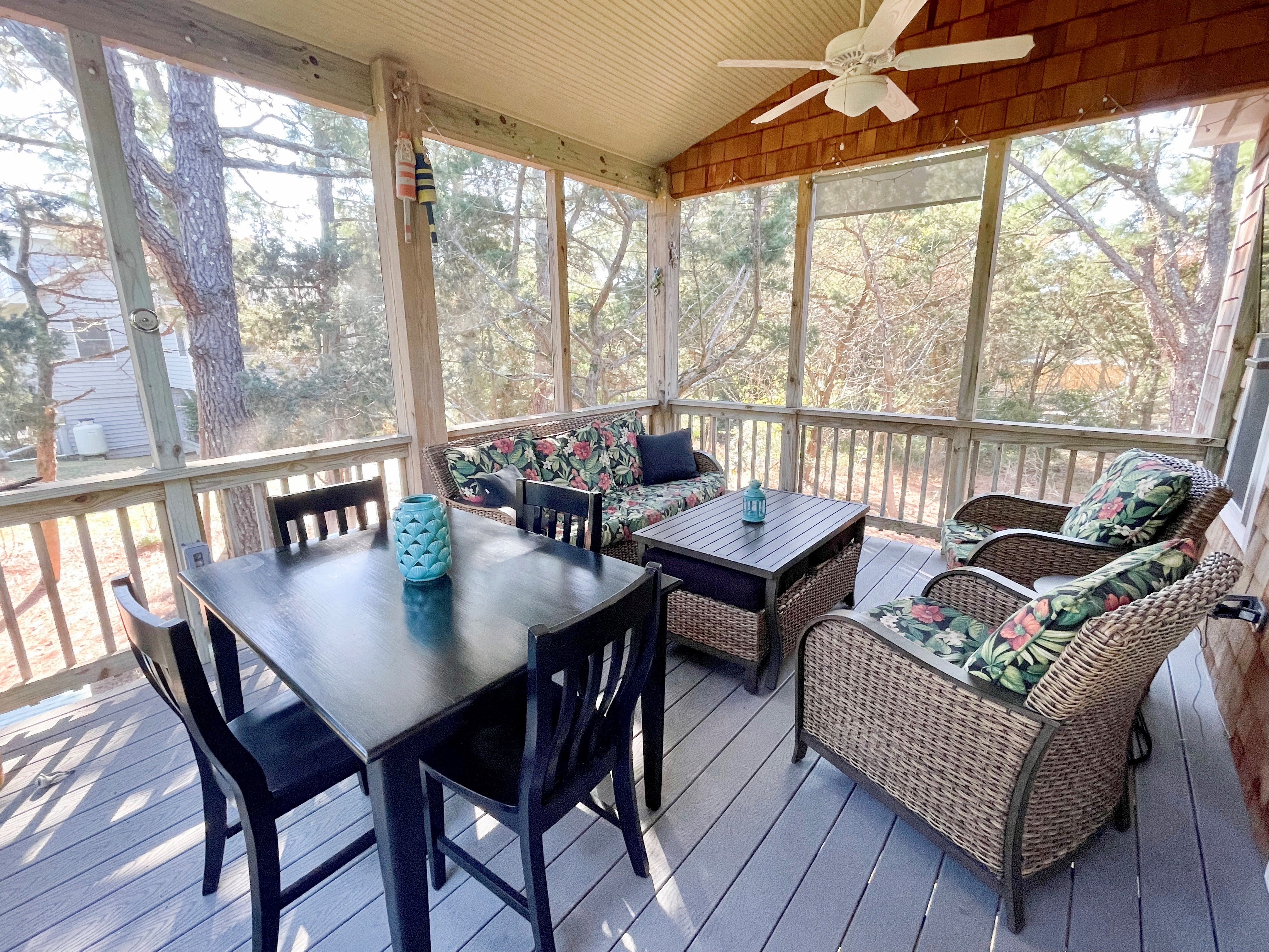 Screened Porch with TV