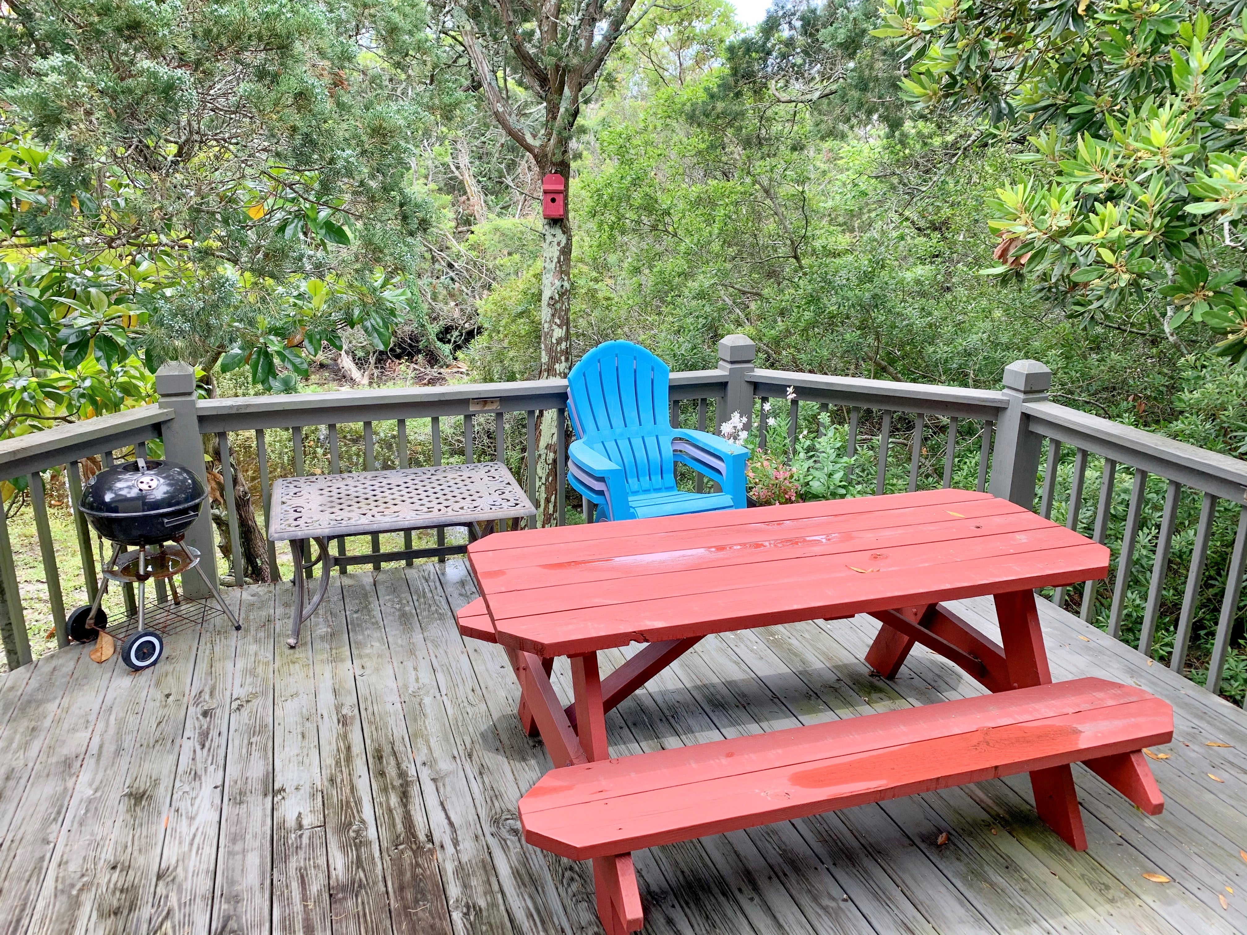 Back Deck with Charcoal Grill and Picnic Table