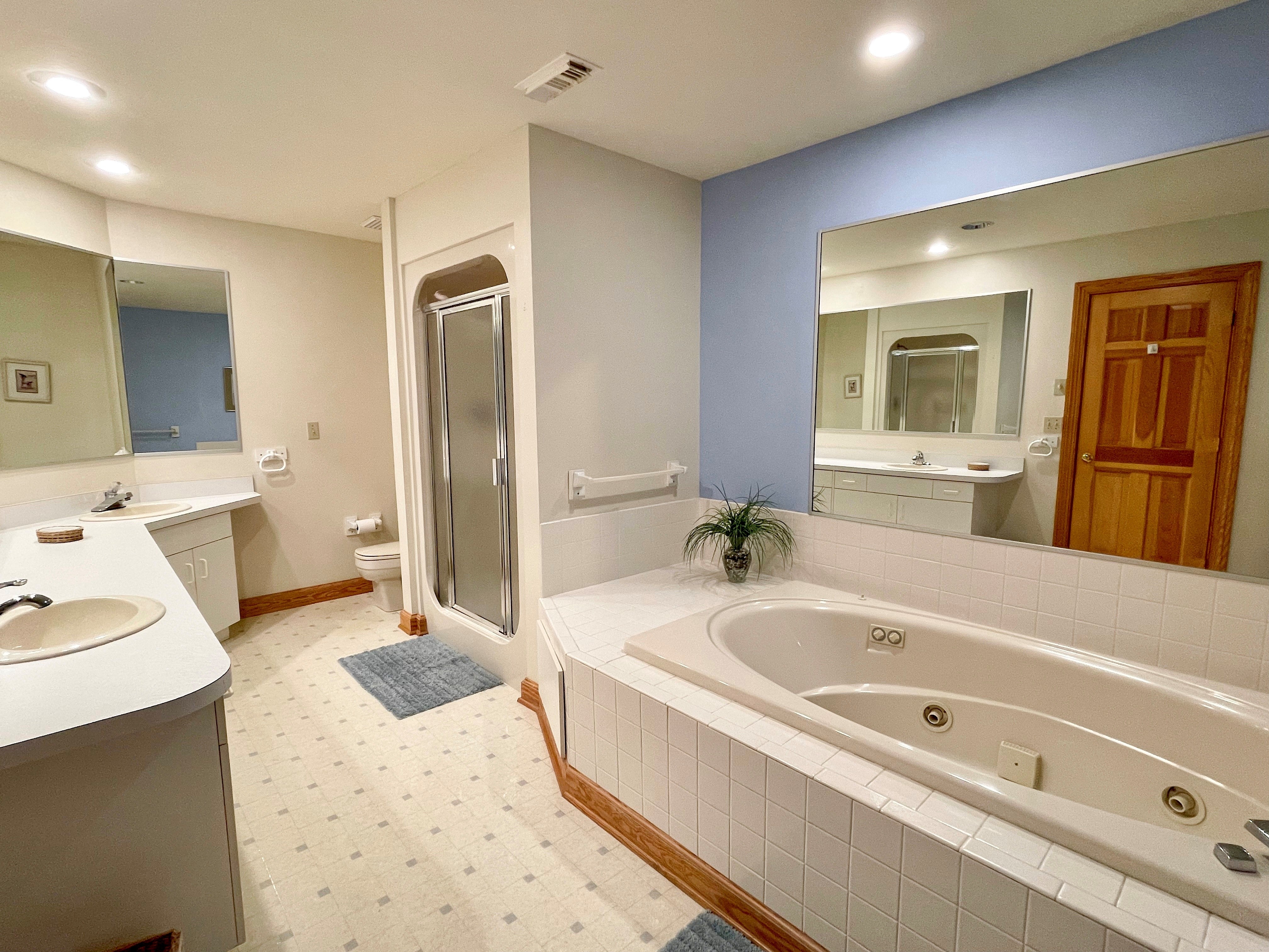 Primary Bathroom with Jacuzzi and Separate Shower