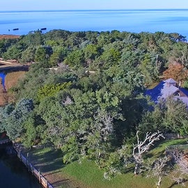 Aerial View Of Southern Comfort on Treed Lot and Neighbor's Expansive Property