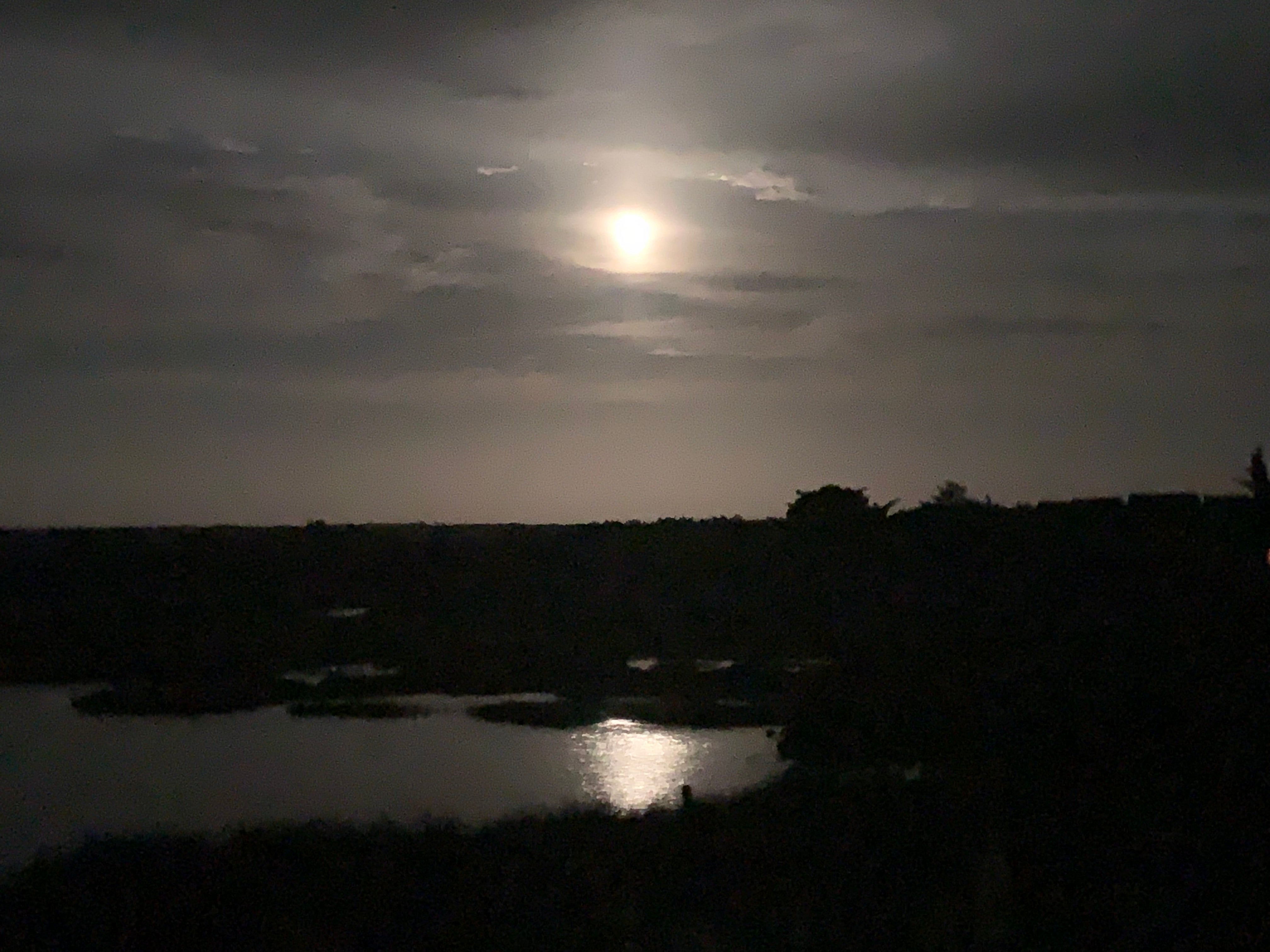 Moonlit View Over the Marsh
