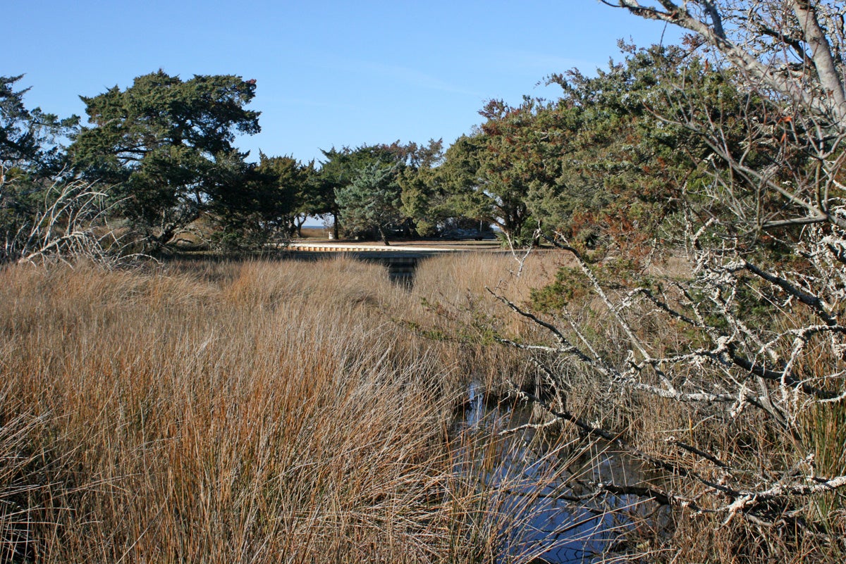 Rear Yard View of Neighboring Marsh