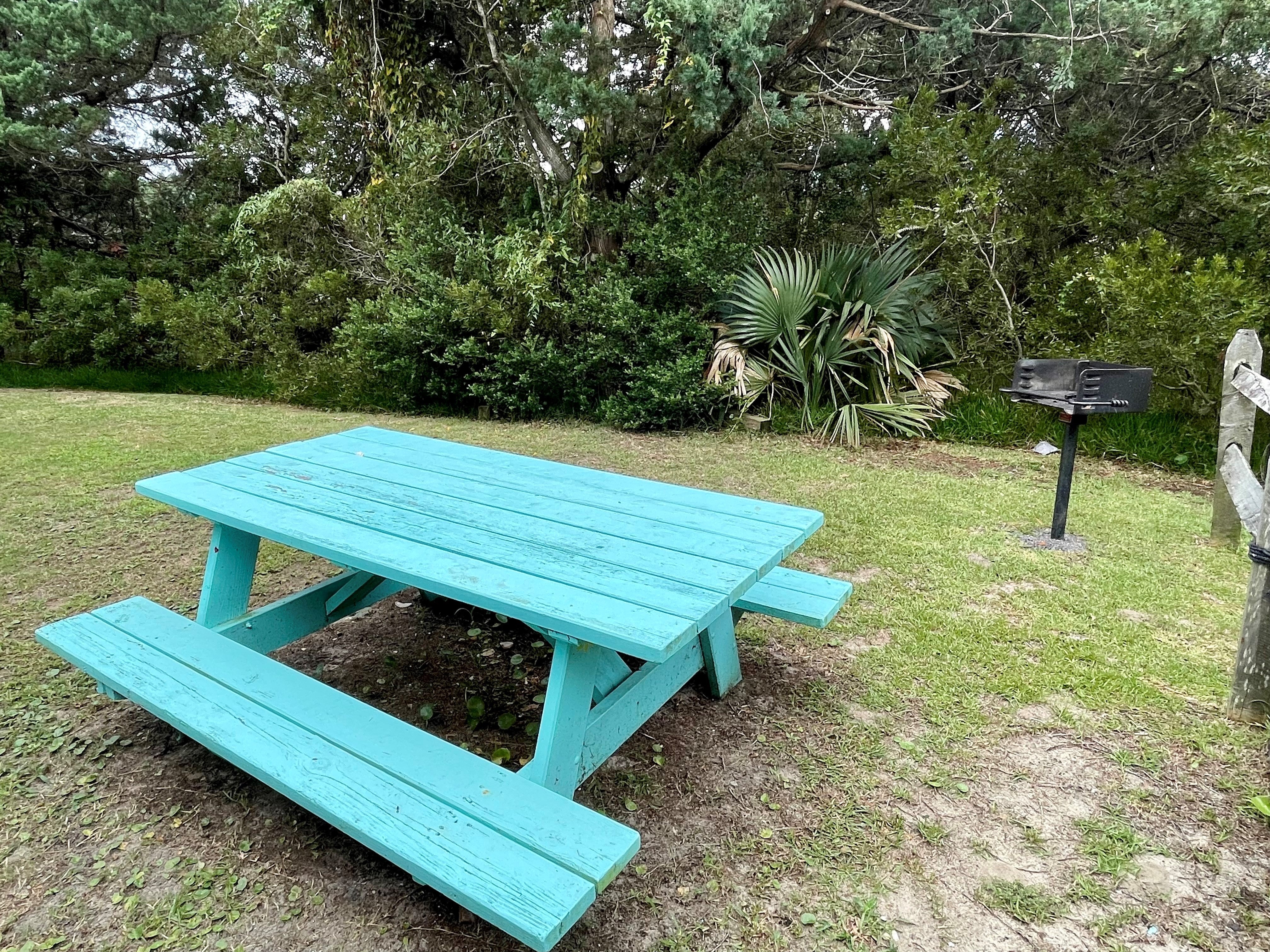 Park Style Grill and Picnic Area