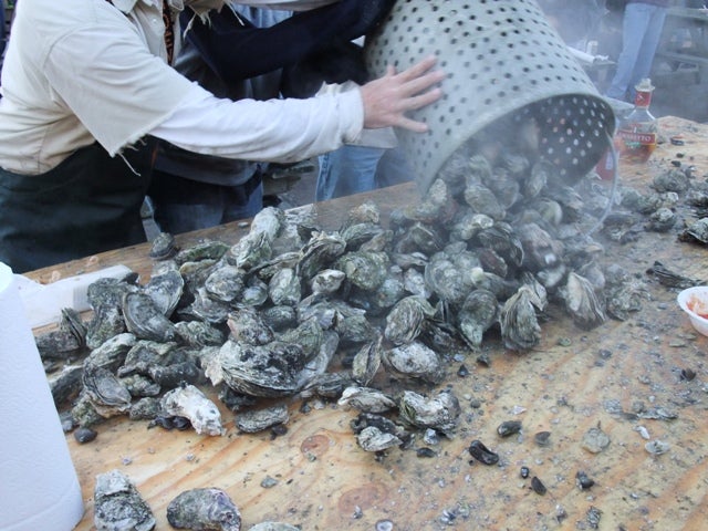 Oysters Roasting