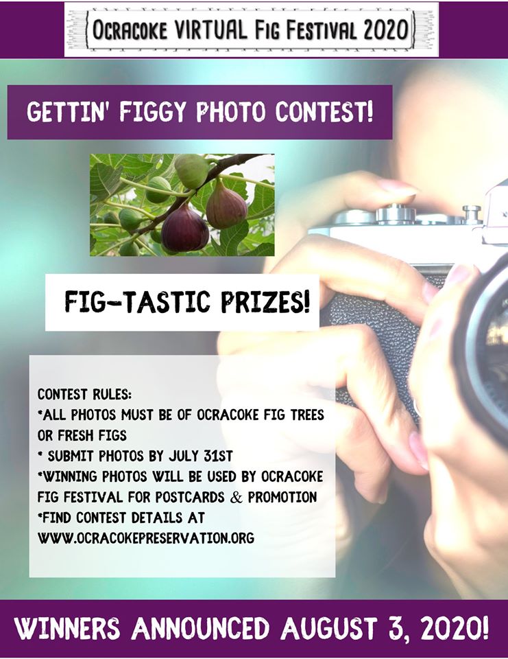 Ocracoke Fig Festival Photo Contest
