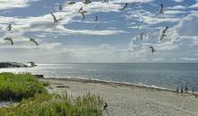 Spring Break 2021: Things to do on Ocracoke Island